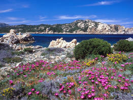 Toskana mit Minikreuzfahrt nach Sardinien