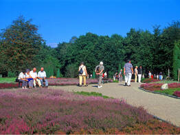 Ostern in der L�neburger S�dheide