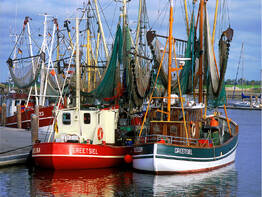 Inselh�pfen auf der Nordsee