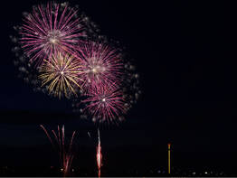 Budweiser Silvesterschn�ppchen