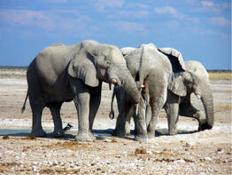 Flugreise Namibia