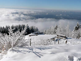 Advent im Schwarzwald