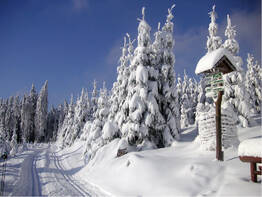 Weihnachtszauber in Oberhof