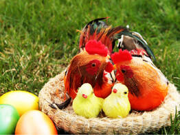 Ostern bei R�bezahl