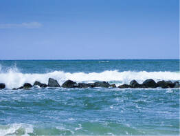 Poel - Reif f�r die Insel