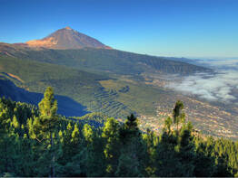 Inselzauber Teneriffa