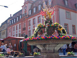 Fr�hlingserwachen im Saale-Unstrut-Land