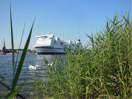 L�becker K�stent�rn nach Rostock