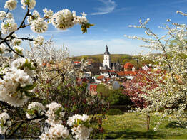 Fr�hlingsflair im Erzgebirge