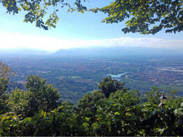 Ostern im Piemont: Spitzenweine, Tr�ffel und Tulpen