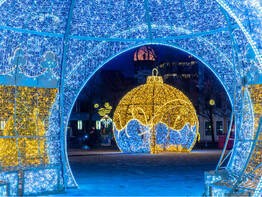 Magdeburger Lichterwelt im Advent