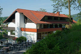 Wald-Michelbach - Hotel Birkenhof - Außenansicht Wald-Michelbach - Hotel Birkenhof - Außenansicht